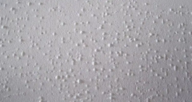 Màng sơn bị rỗ